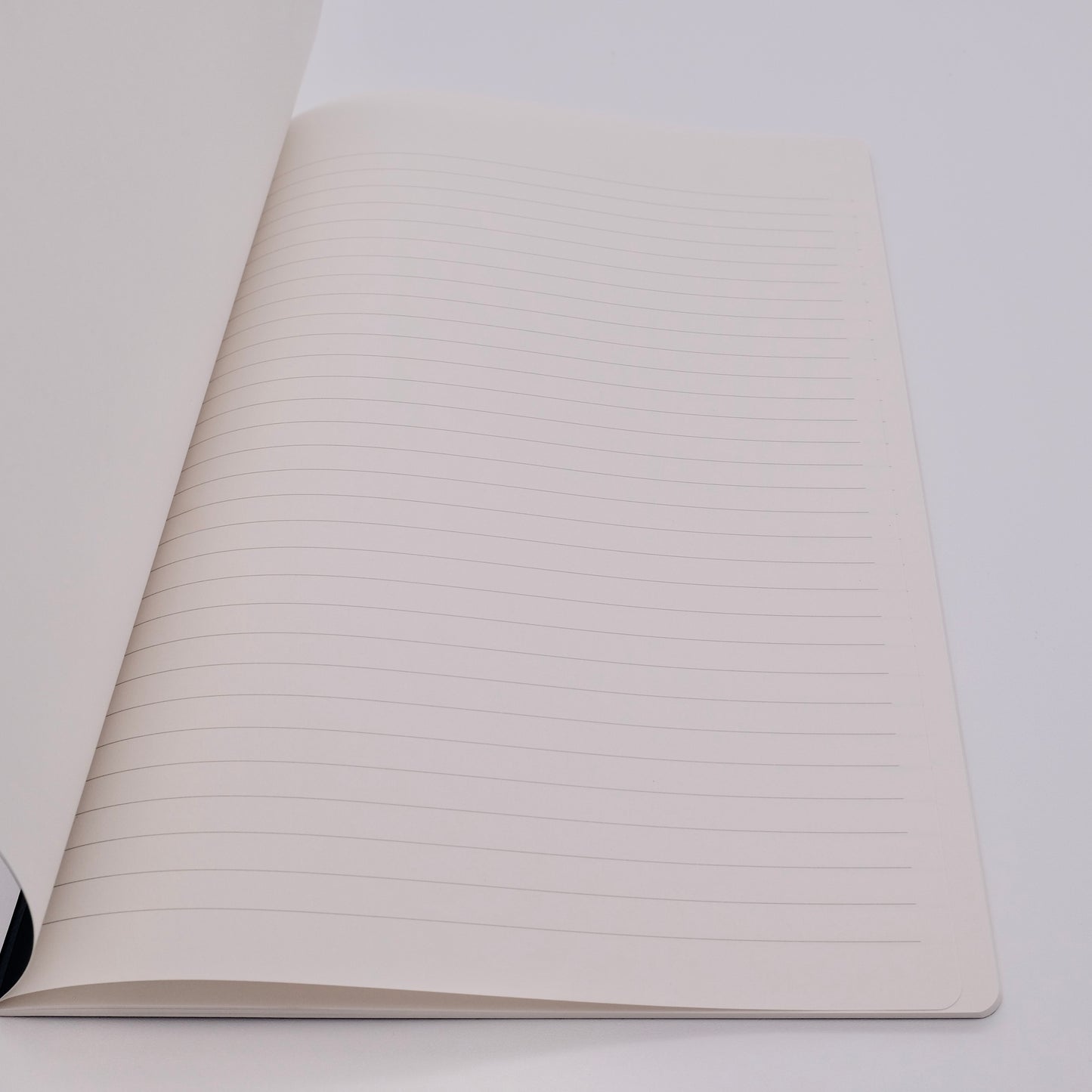 Open notebook with lined pages on a white background